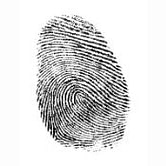 Copy of Copy of Colorful Fingerprints Indigenous Peoples Facebook Cover
